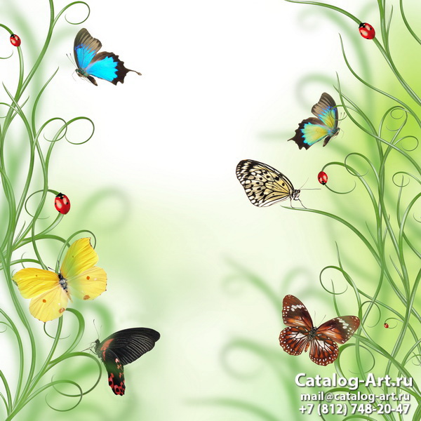  Butterflies 17